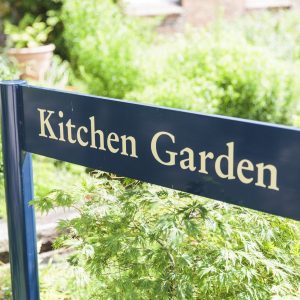Taunton School Kitchen Garden