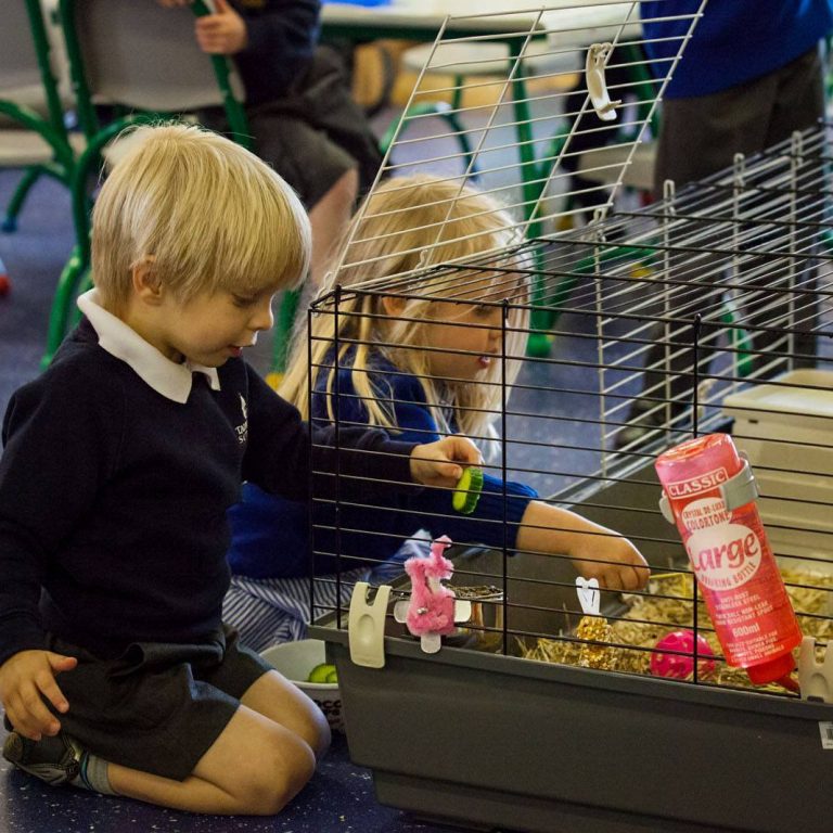 Taunton School Nursery Student With Animal Cage