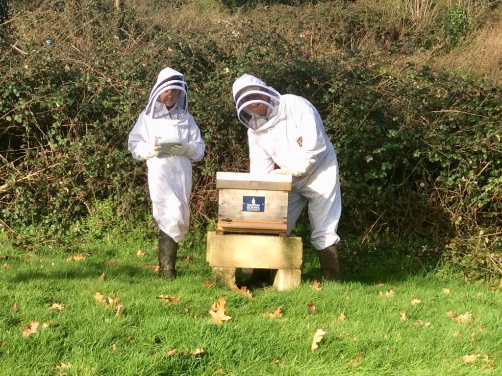 beehive hefting at a private school in the uk